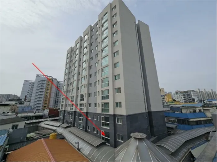 사진 6