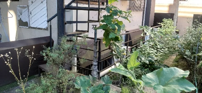 사진 18