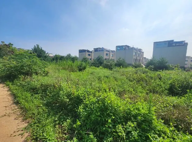 사진 2