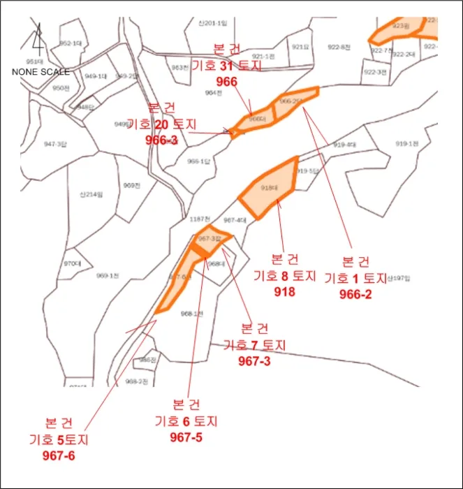 사진 30