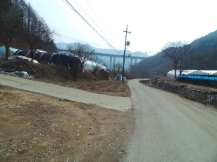 사진 6