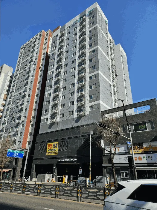 사진 5