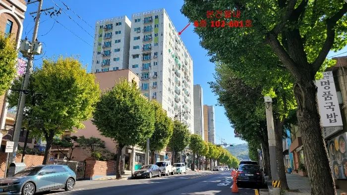 사진 10