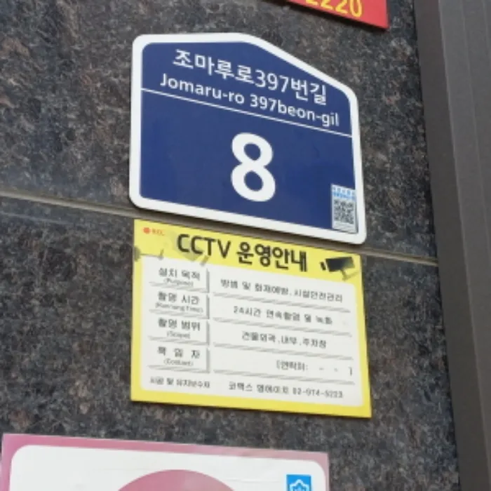사진 3