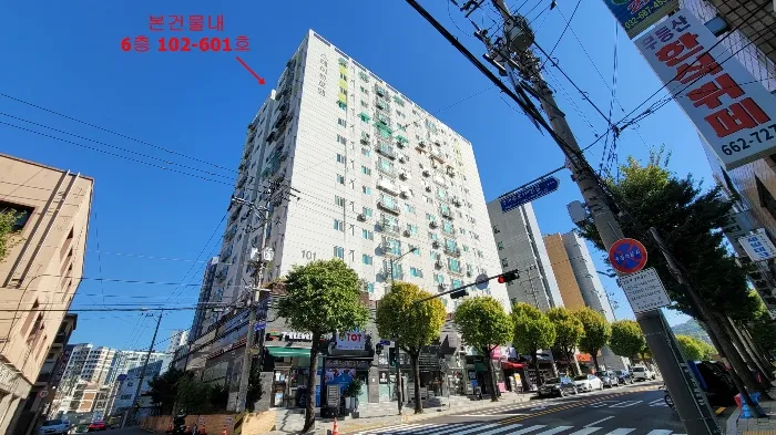 사진 7