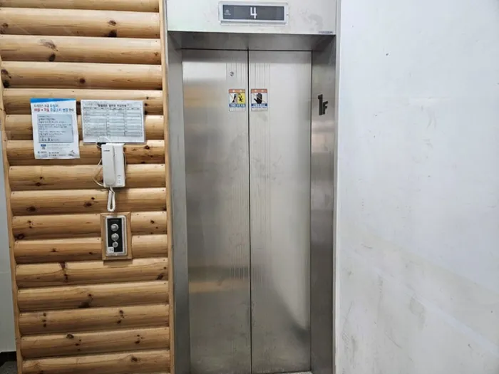 사진 12