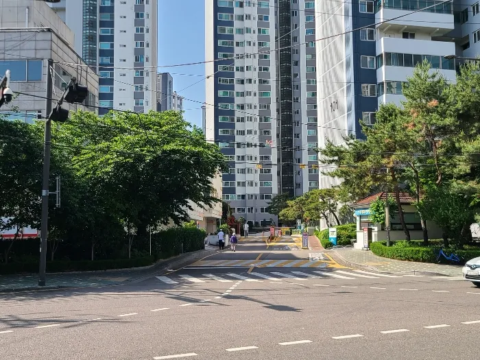 사진 12