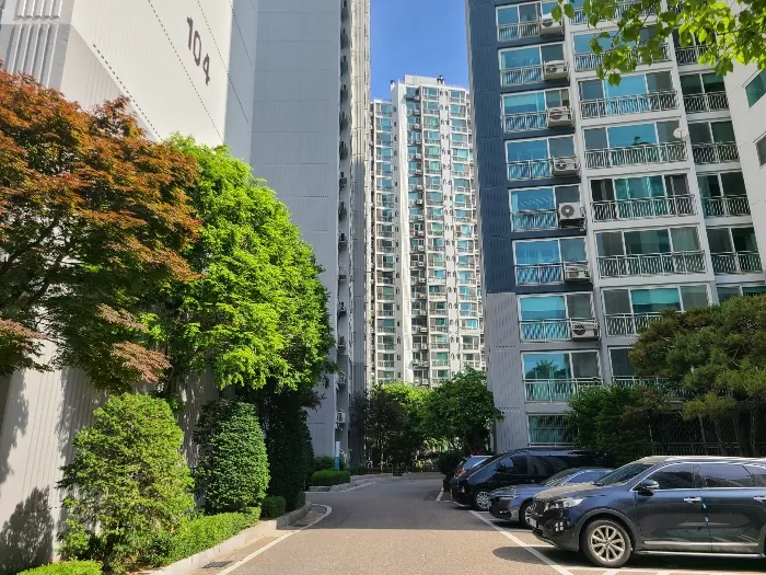 사진 8