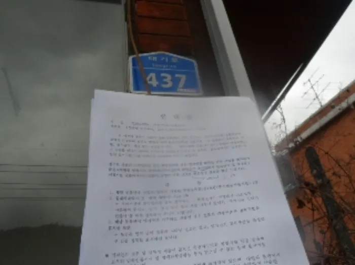 사진 5