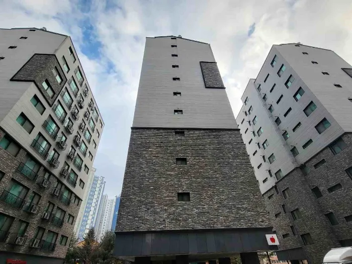 사진 2