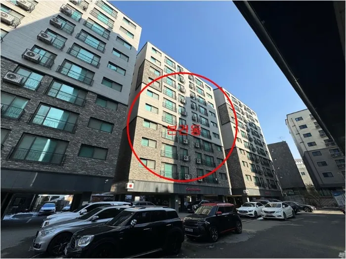 사진 5