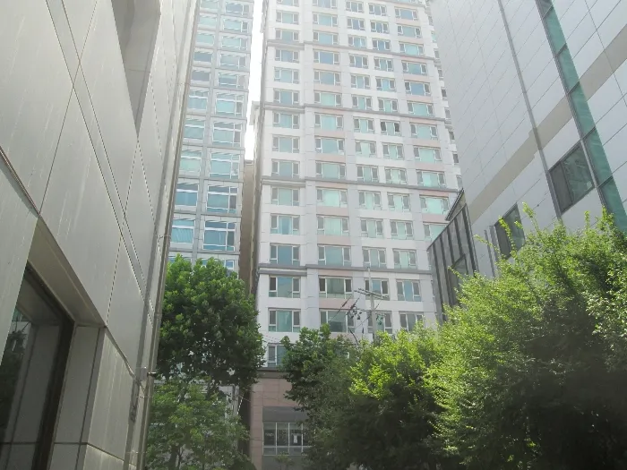 사진 12