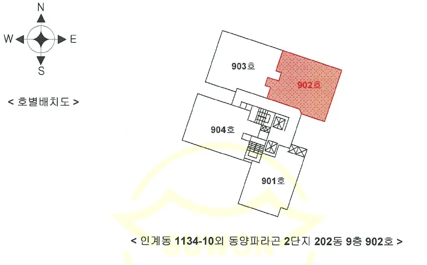 사진 19