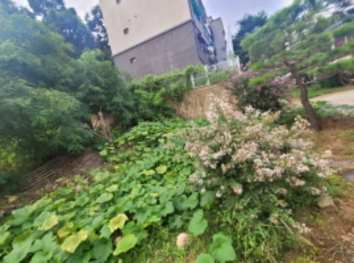 사진 3
