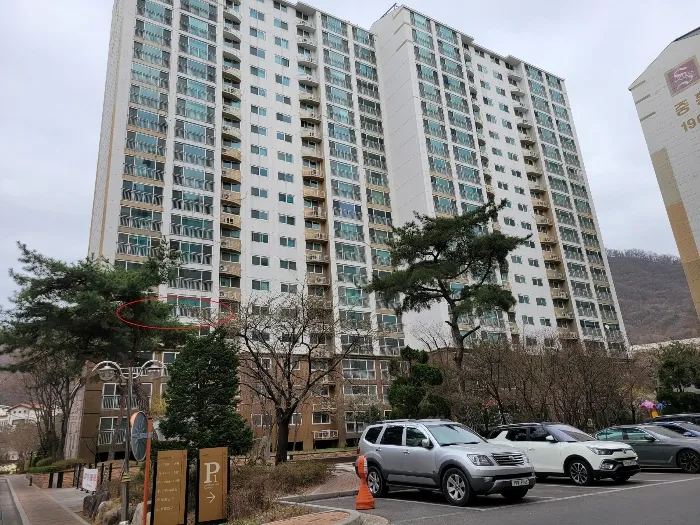사진 4
