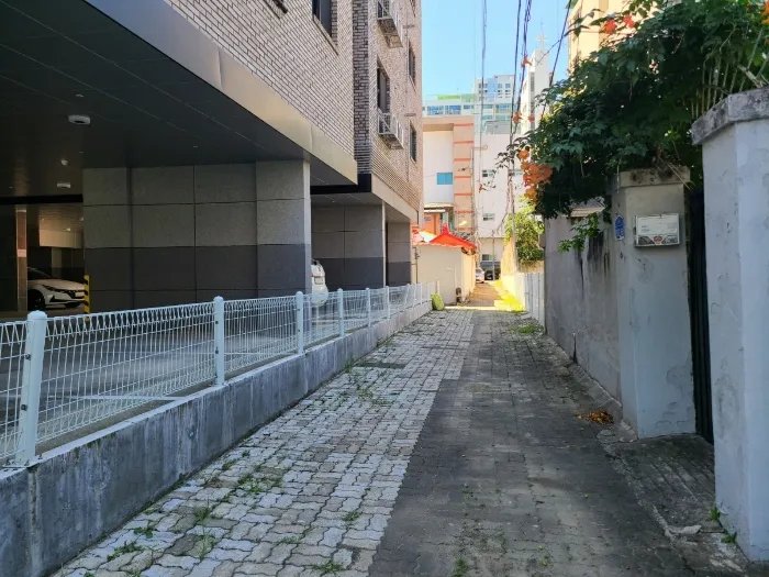 사진 28