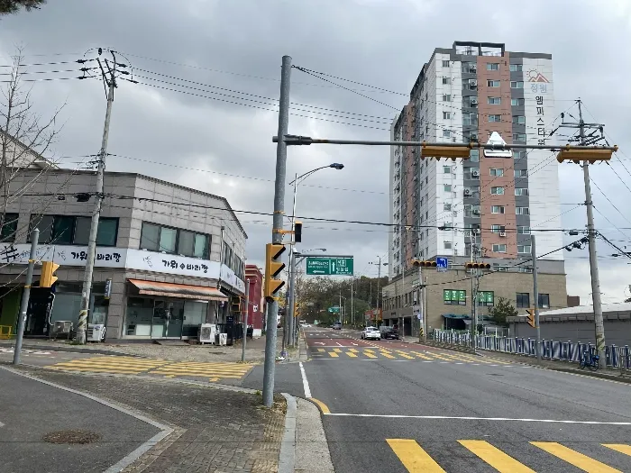 사진 8
