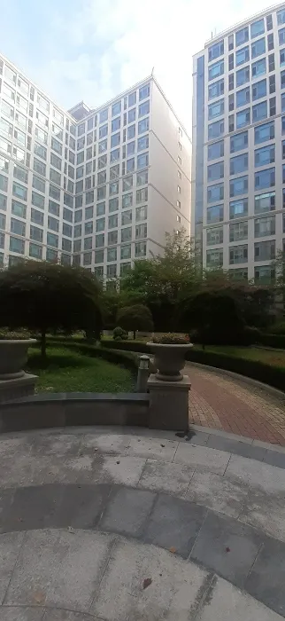 사진 8