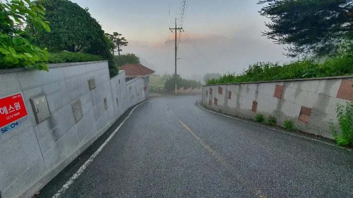 사진 11