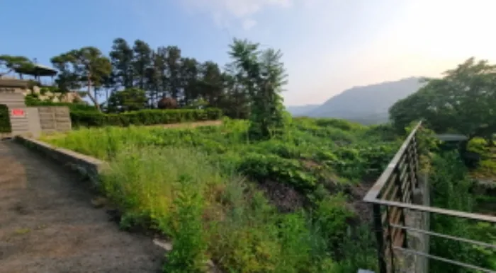 사진 2
