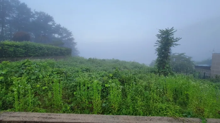 사진 9
