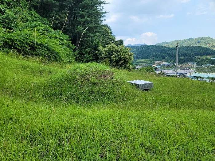 사진 10