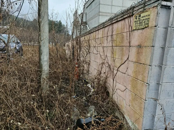 사진 10