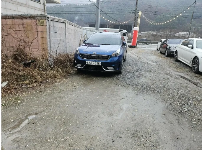 사진 11