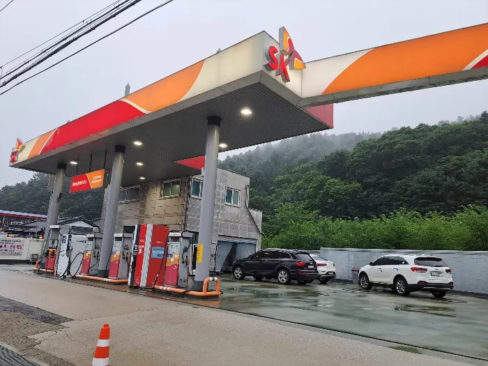 사진 19