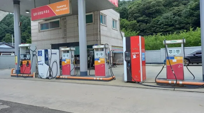 사진 3