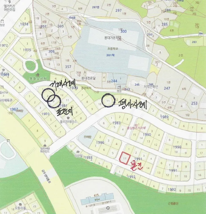 사진 15