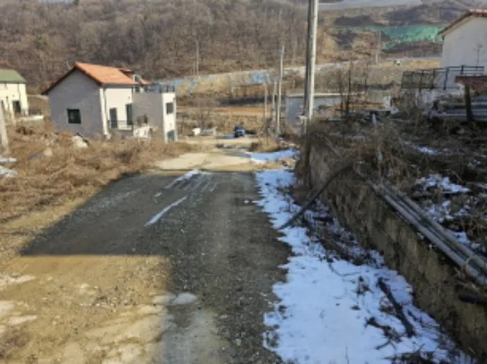 사진 10