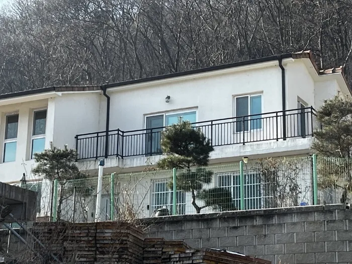 사진 11