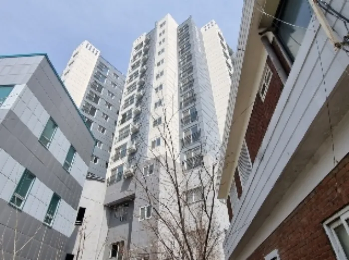 사진 10