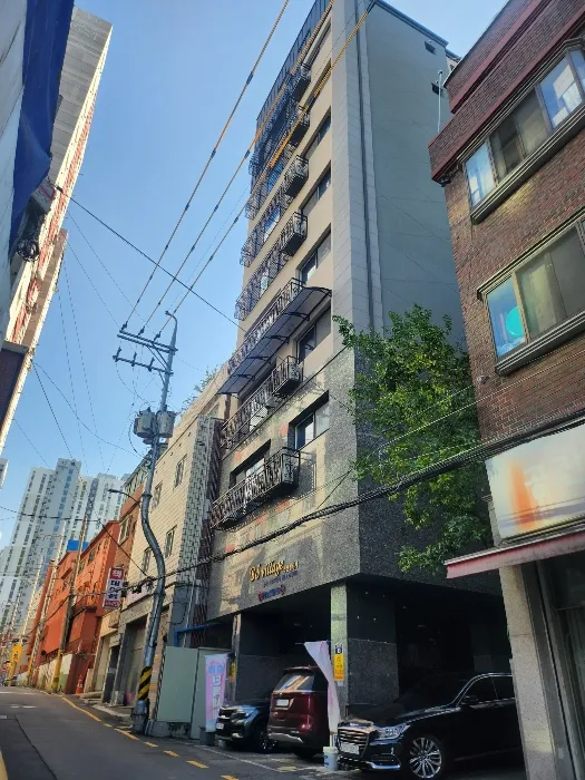 사진 11