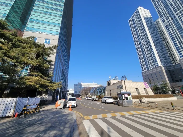 사진 3