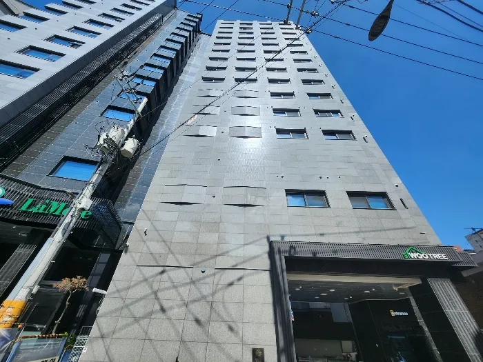 사진 4