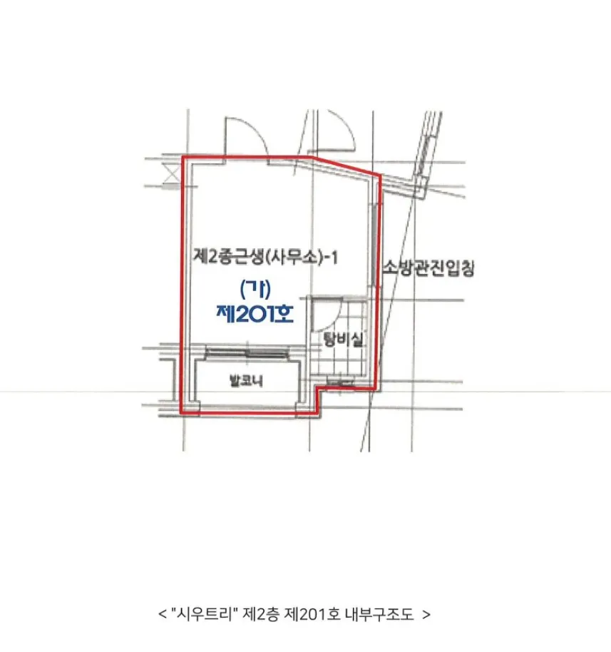 사진 8