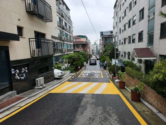 사진 15