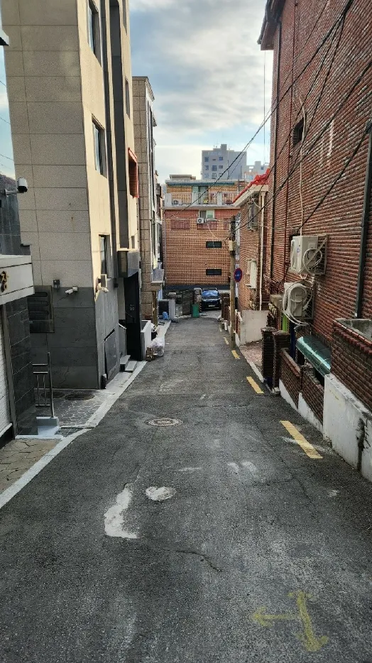 사진 4