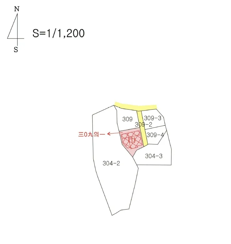 사진 19