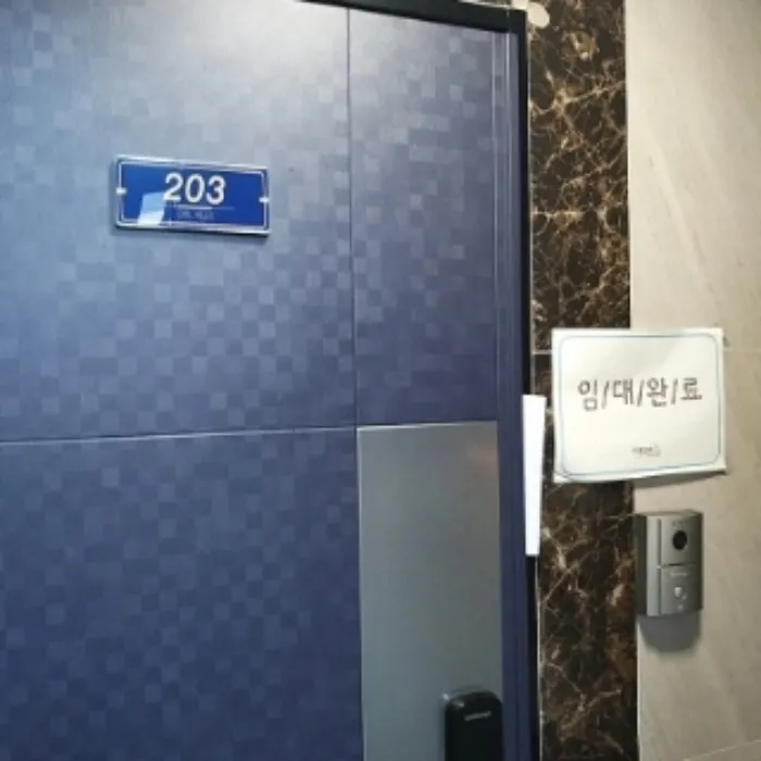 사진 13