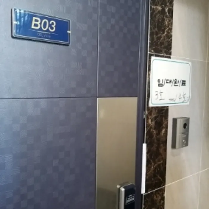사진 6