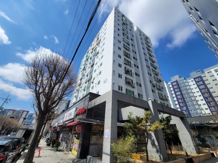 사진 7