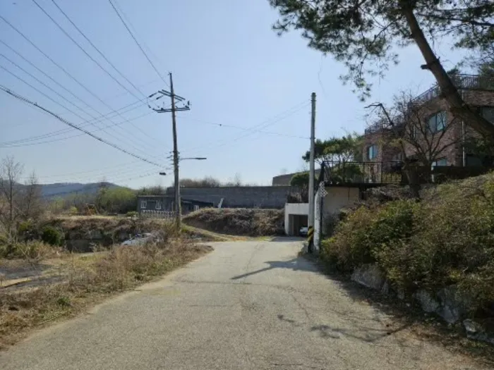 사진 5