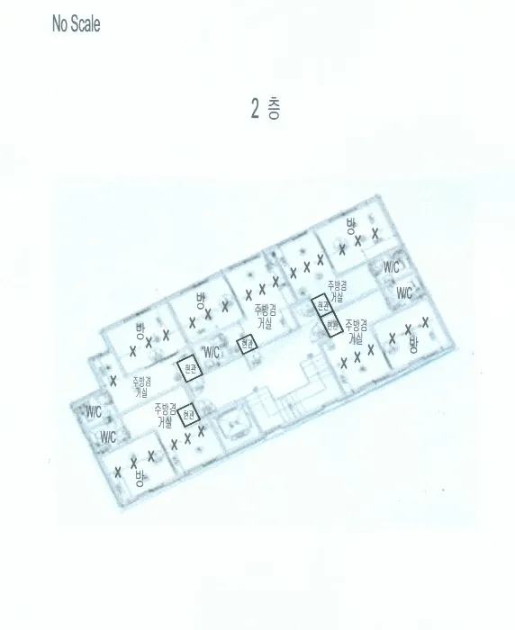 사진 41