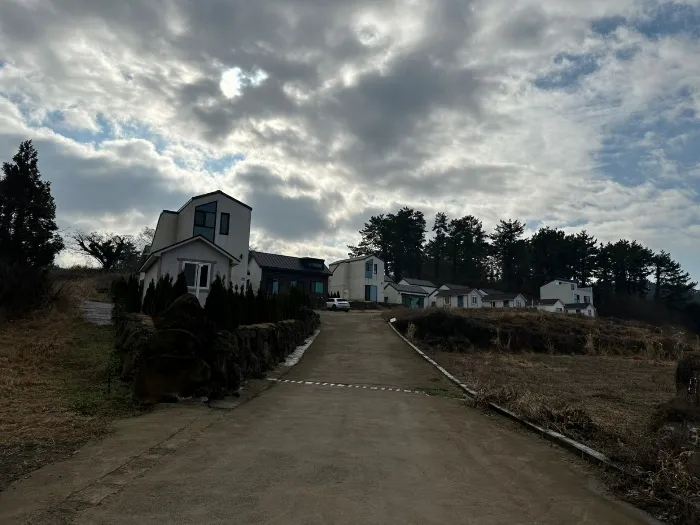 사진 11