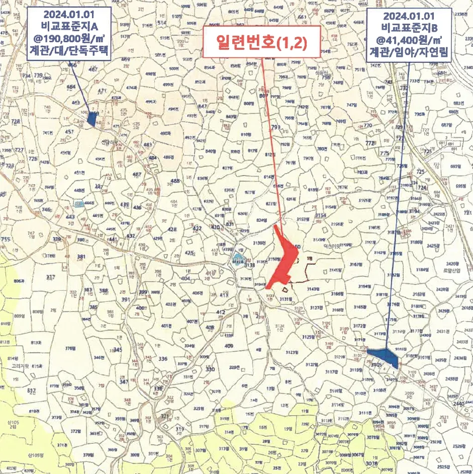사진 19