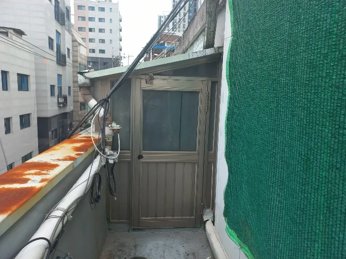 사진 36