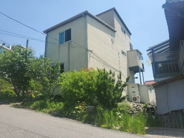 사진 8